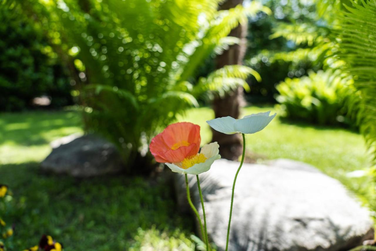 Flow Apartments Winkel Studio เมราโน ภายนอก รูปภาพ